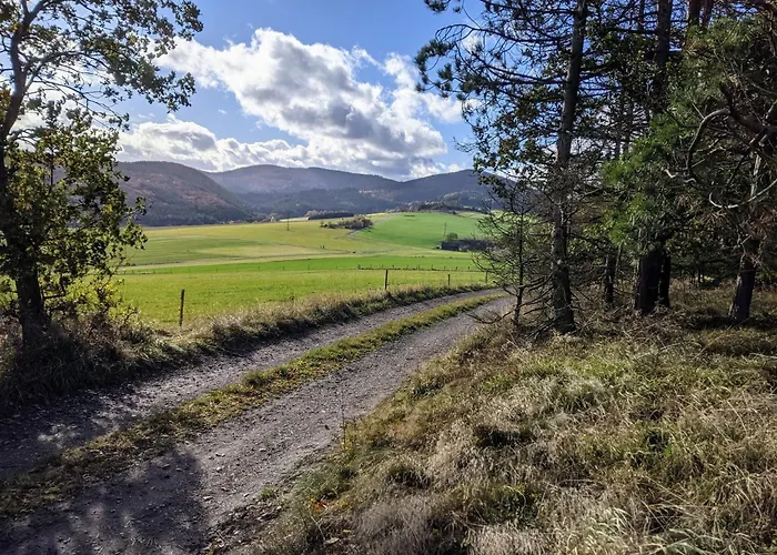 Apartment Between Winterberg And Willingen