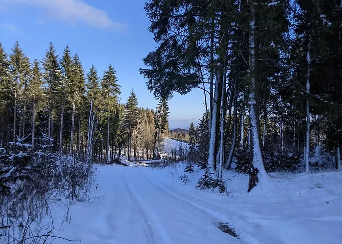 Apartment Between Winterberg And Willingen